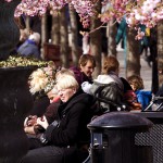 Solig eftermiddag i Kungsträdgården