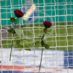 Rosor i målnäet