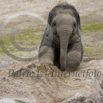 Hej, om jag är busig?