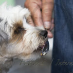 Café Götgatan Stories