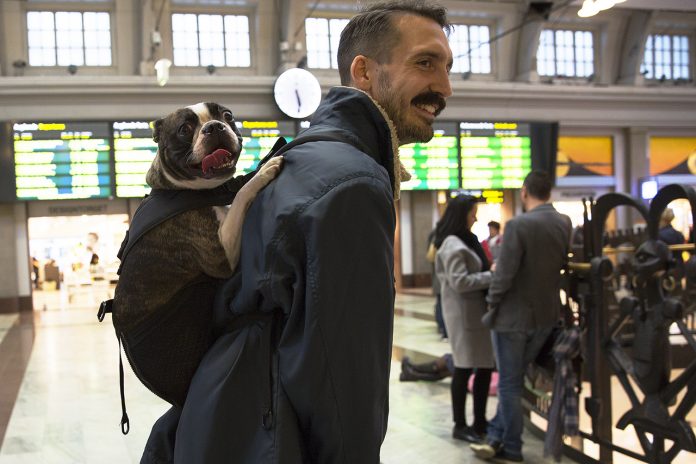 Cosmo i husses ryggsäck för hundar