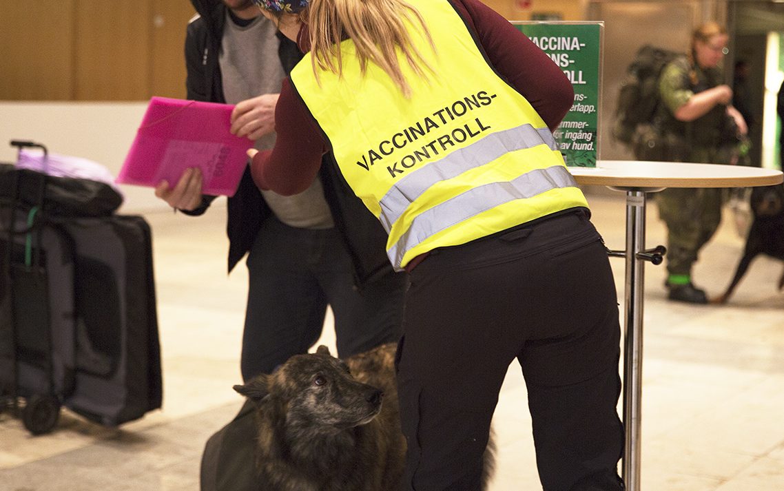 Vaccinations kontroll hund
