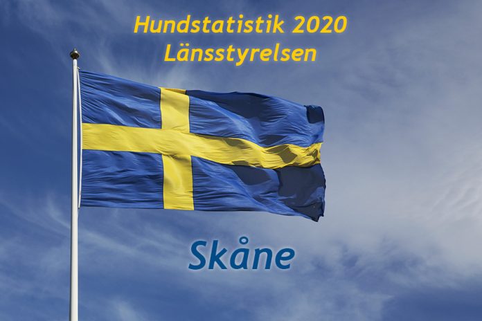Svensk flagga Skåne Hundstatsik
