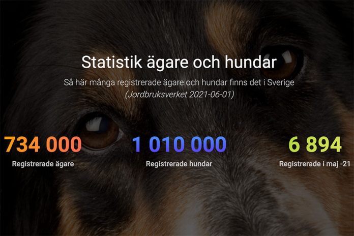Jordbruksverkets hundstatistik maj 2021