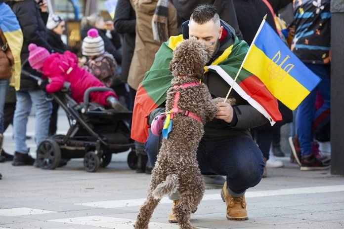 Hunden Alice med vid protest i Stockholm mot Rysslands invasion