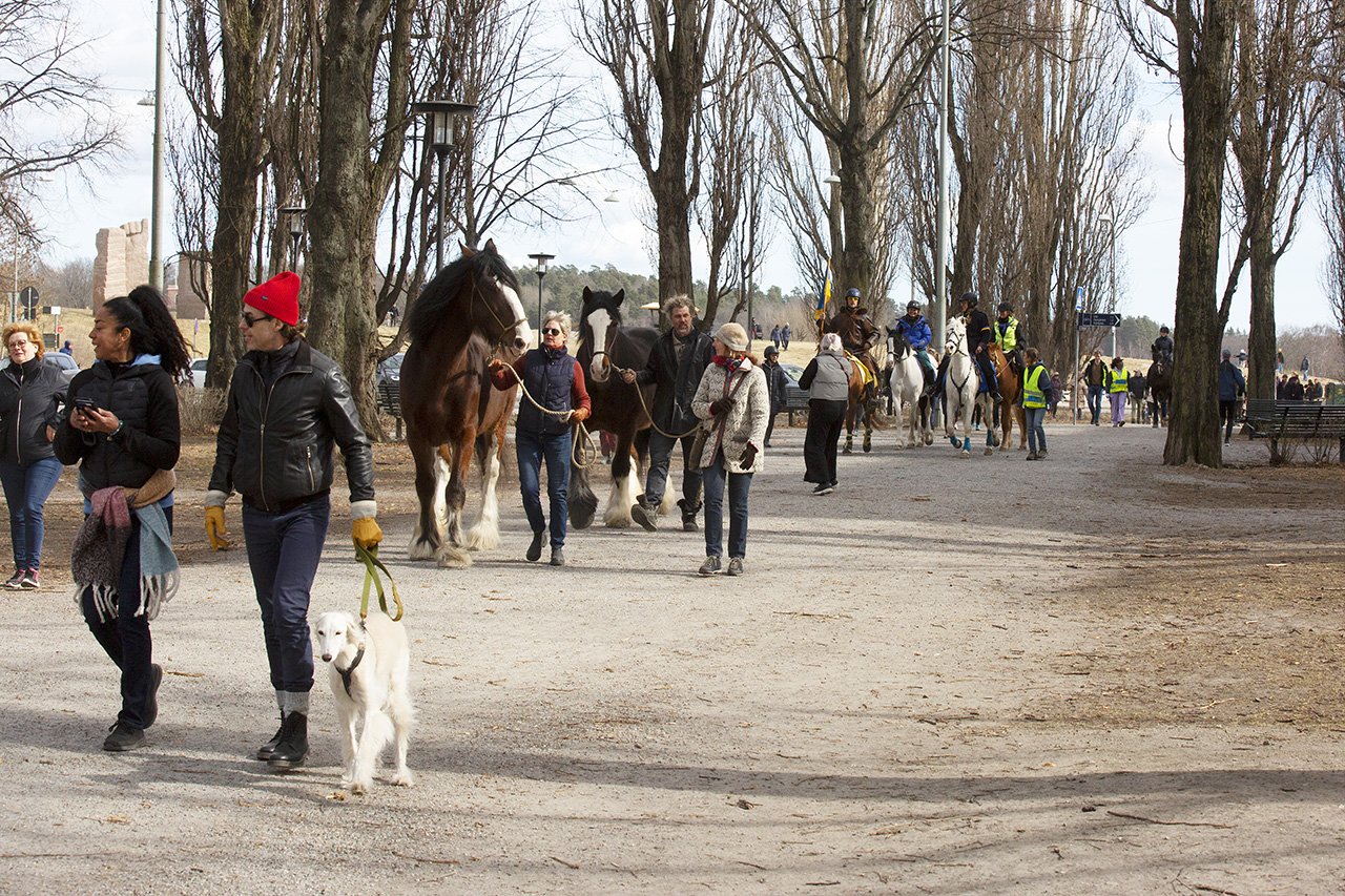 Hästparad i Stocholm till förmån för djur kvar i Ukraina