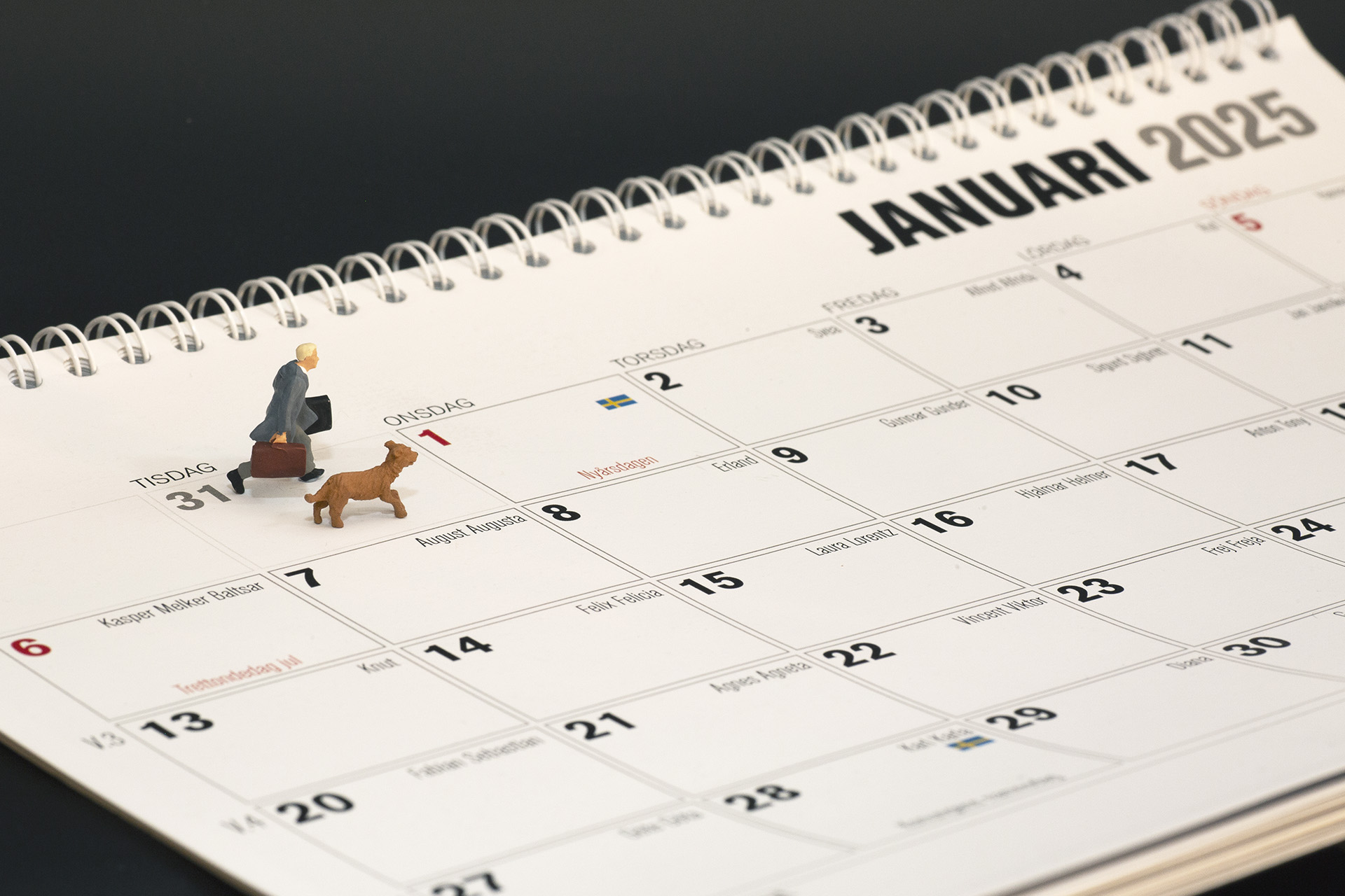 Miniworld hund och resenär springer på årskalender nyårsafton 2024