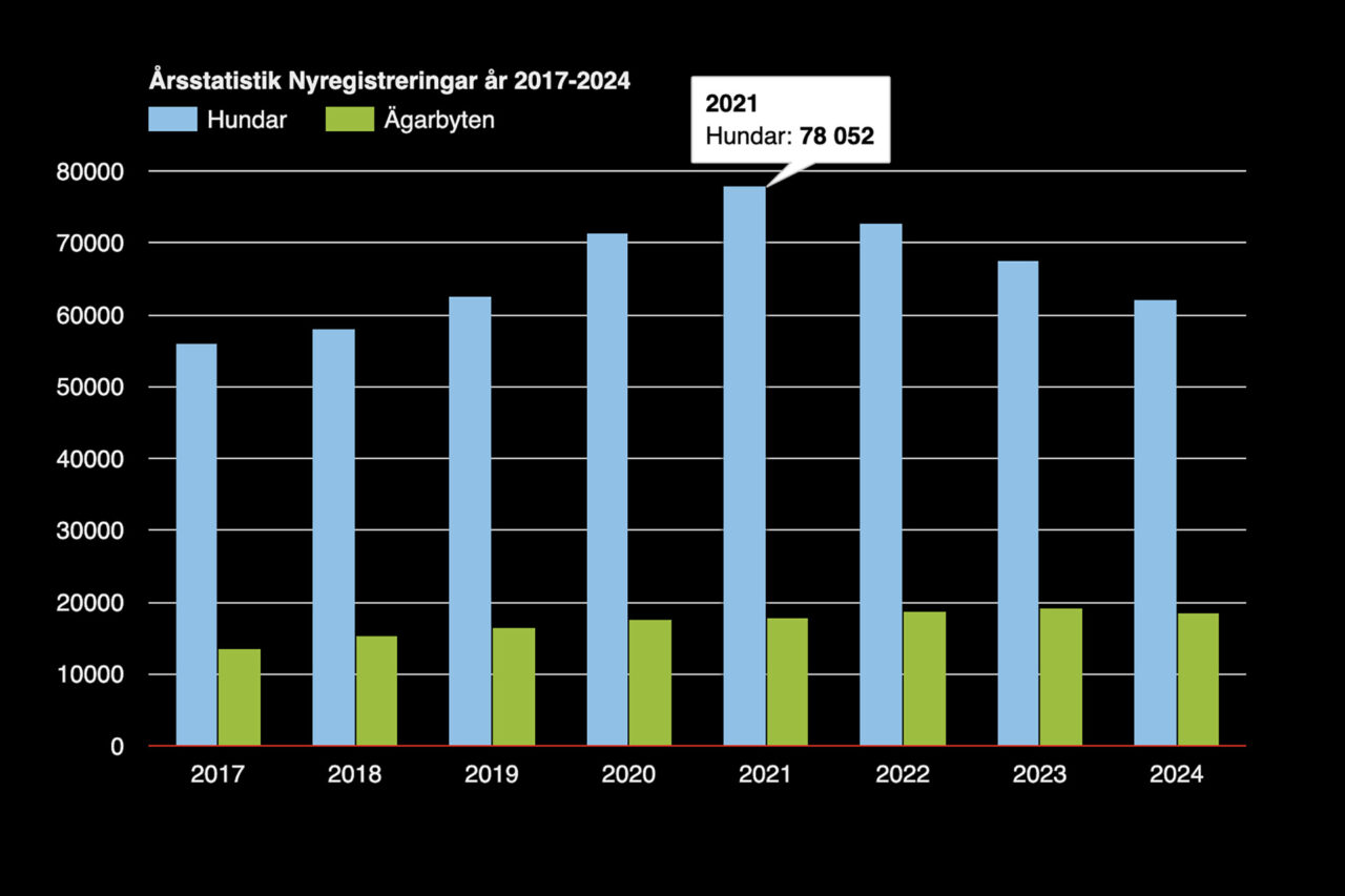 Stapeldiagram nyregistrerade hundar åren 2017-2024