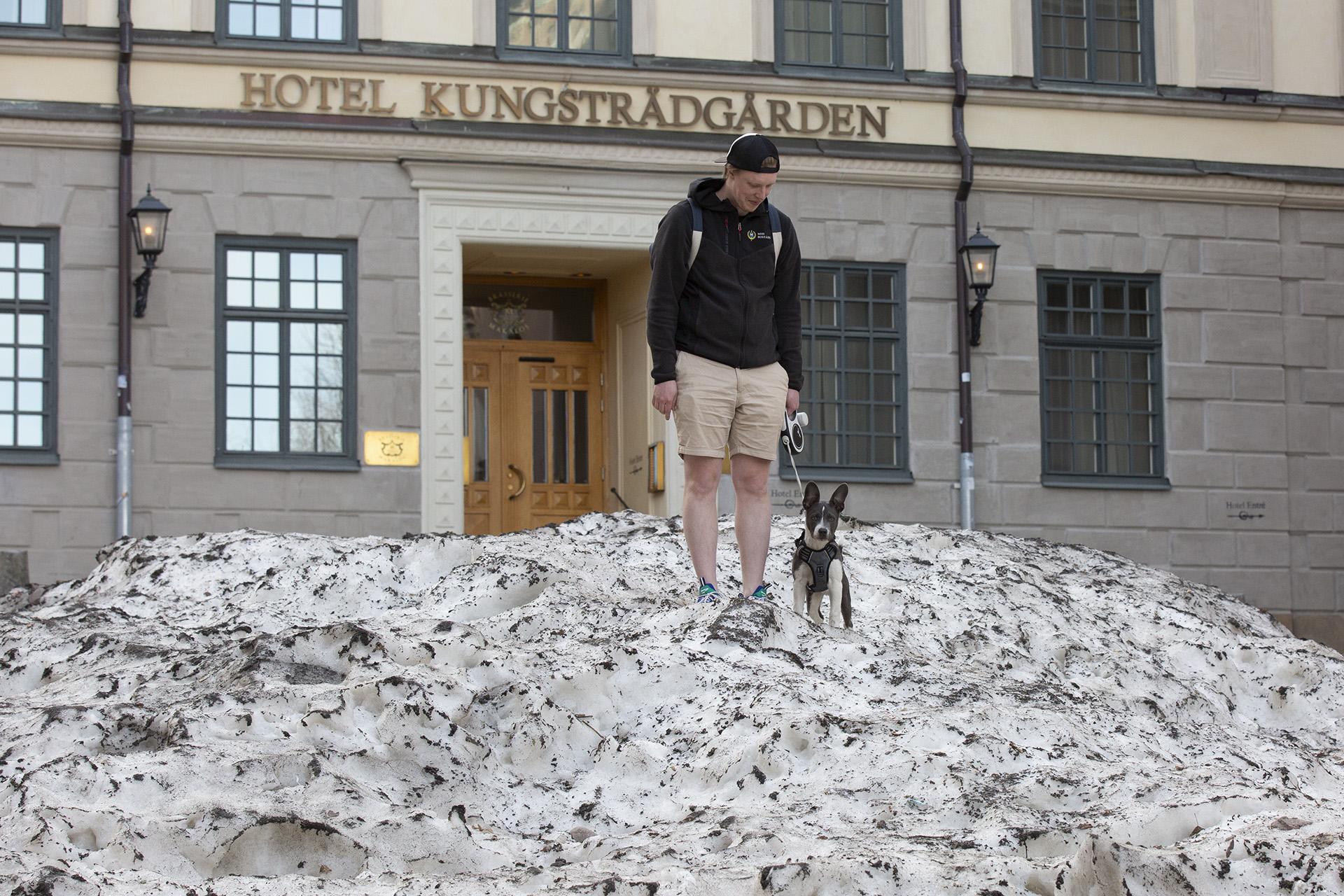Rufus på Stockholmsglaciären efter vinterns alla plogningar på skridskobanan.