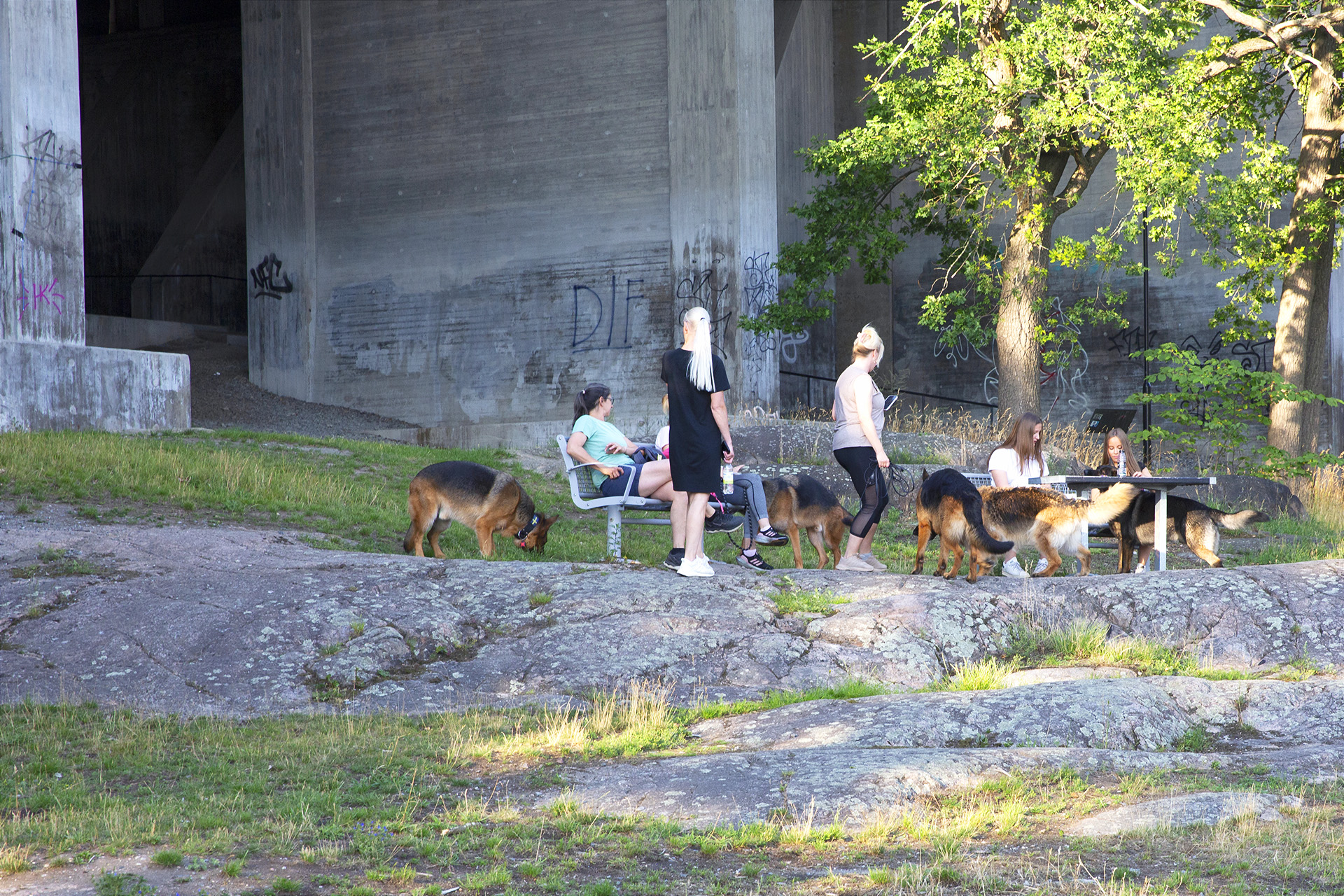 Paus i hundrastområdet Tranebergsbron.