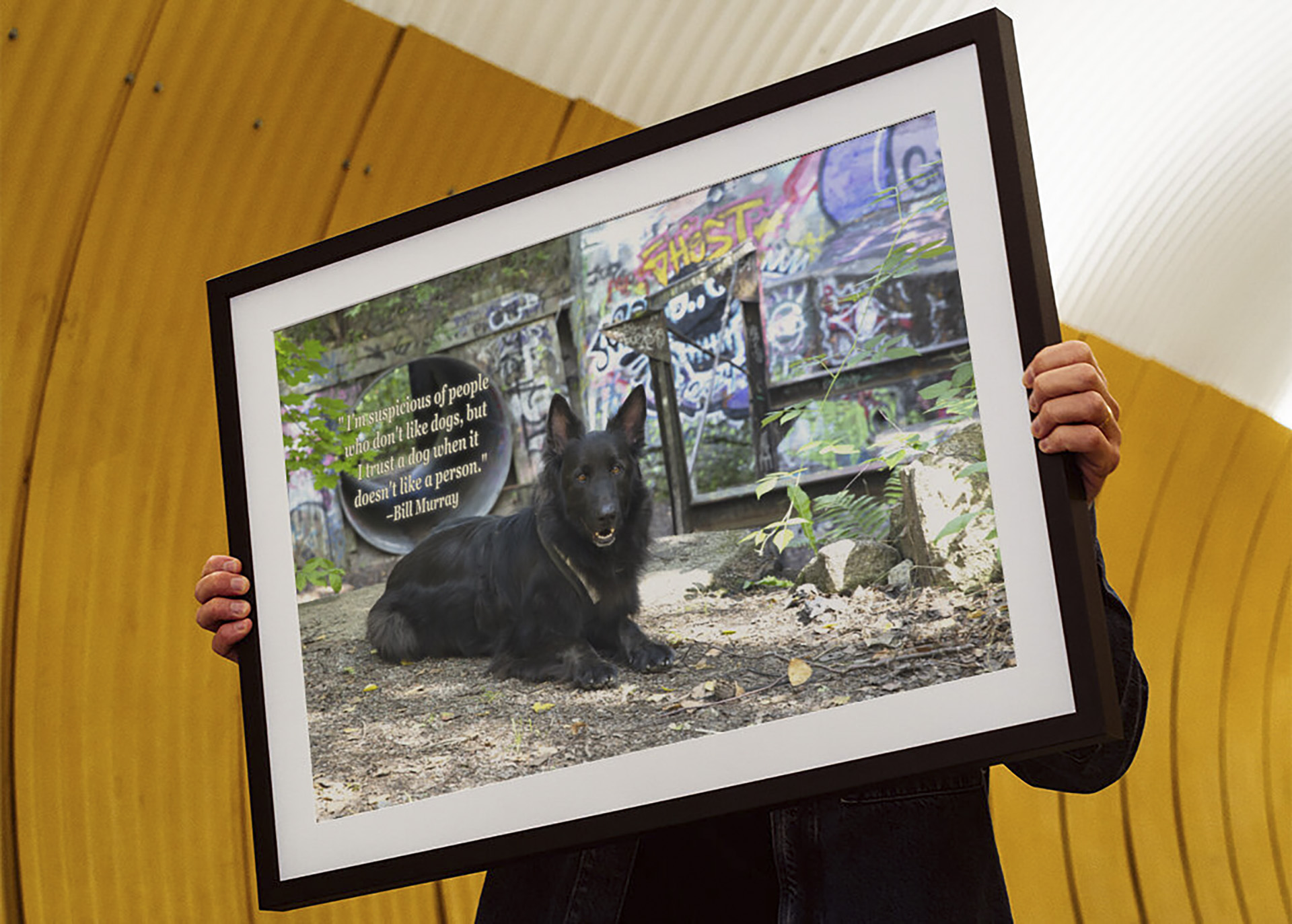 Fineart med passepartou - Ozzy Graffiti