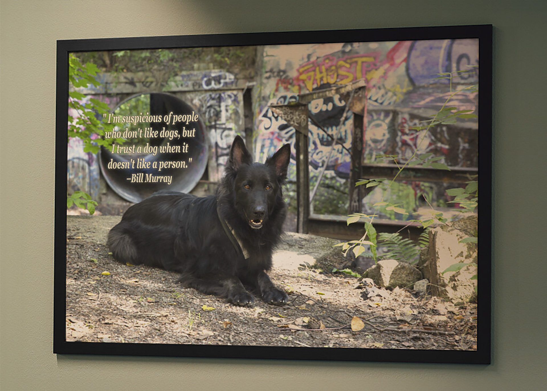 Ramad poster - Ozzy Graffiti 