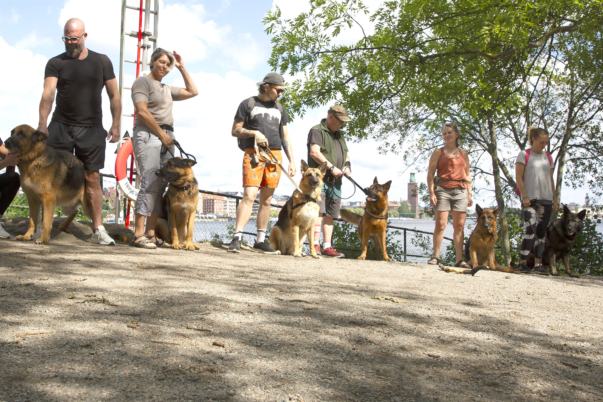 Gruppbild Schäfrar Långholmens Hundbad