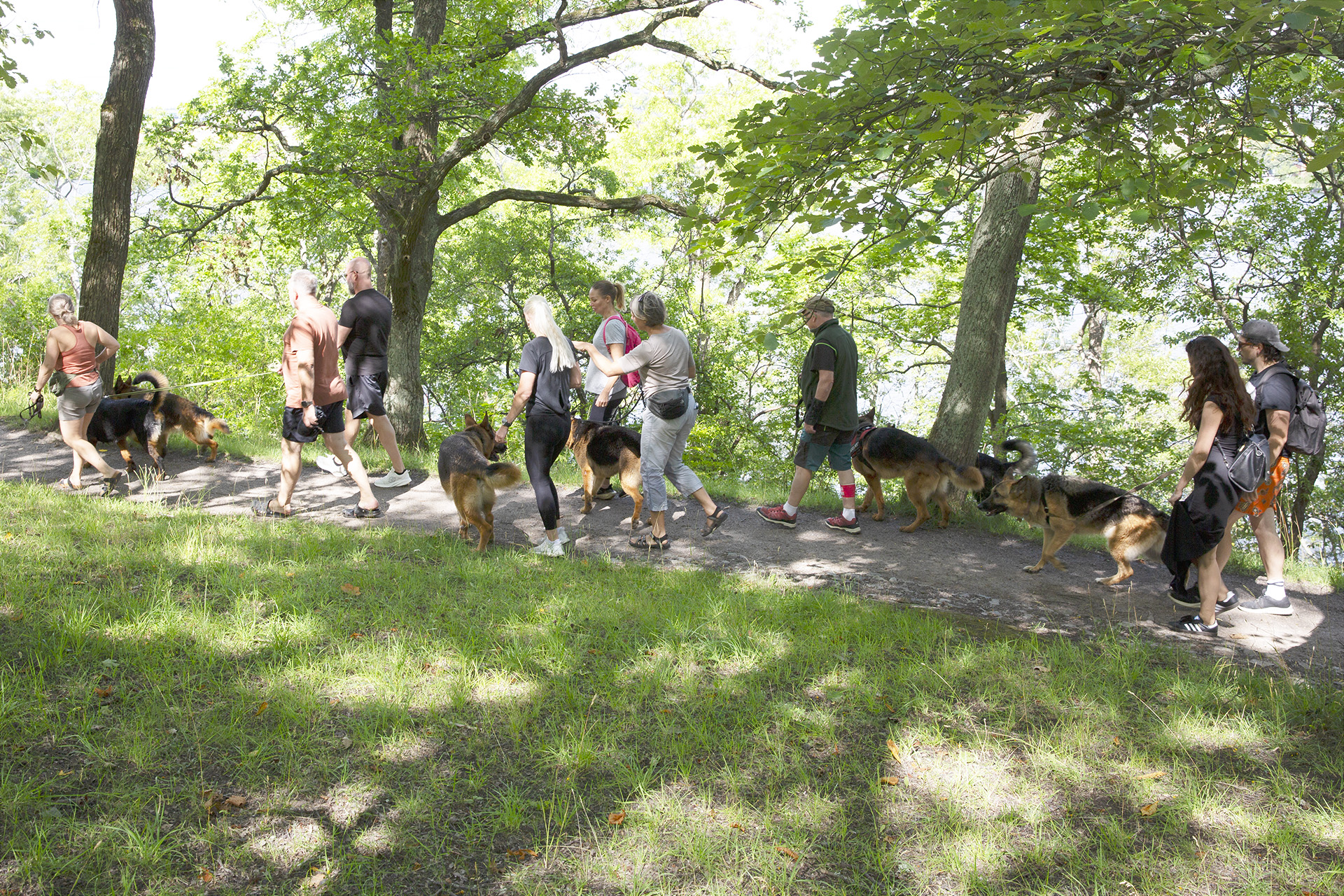 Gemensam schäferpromenad Långholmen