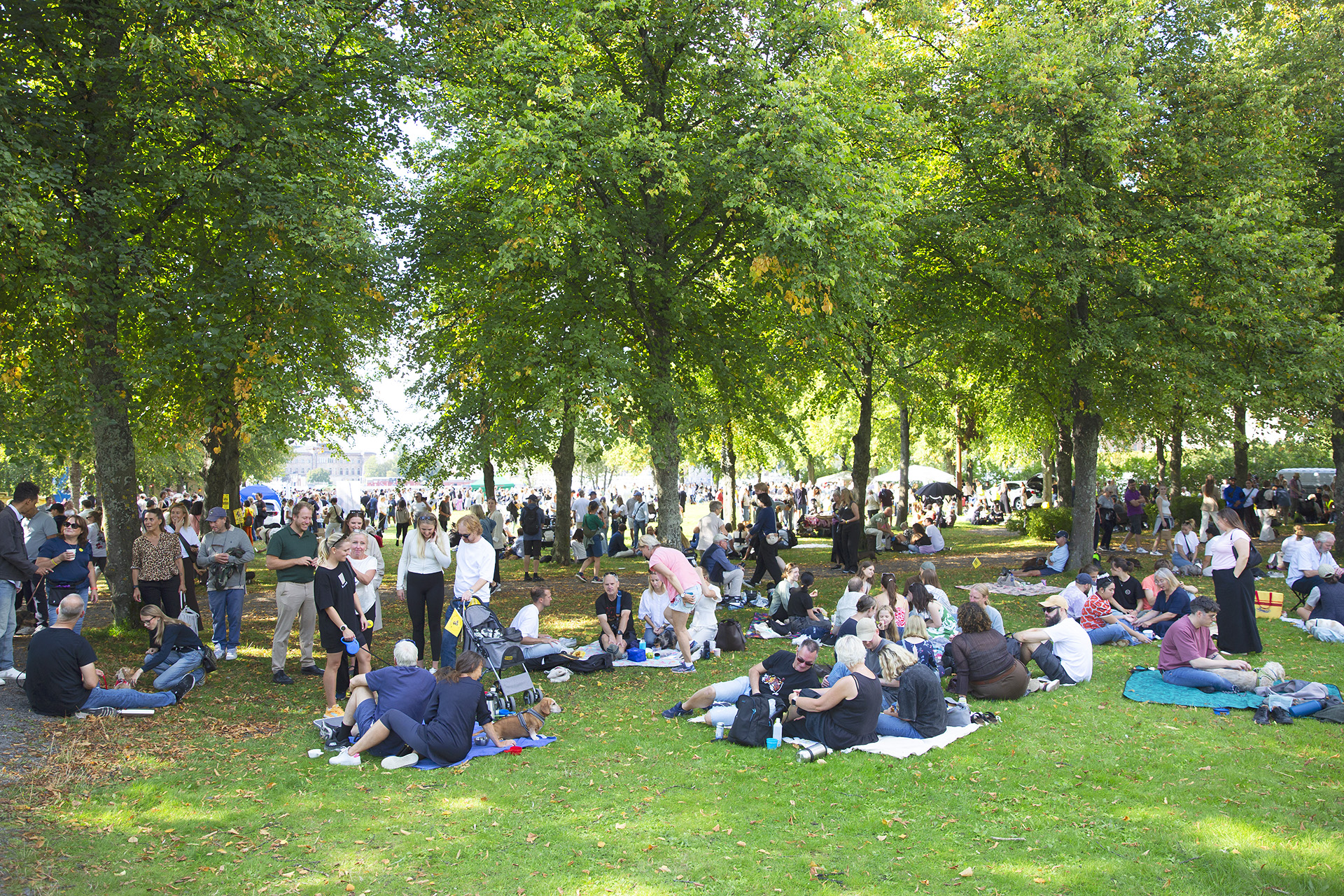 Picknick i Galärparken efter Hundparaden 2025