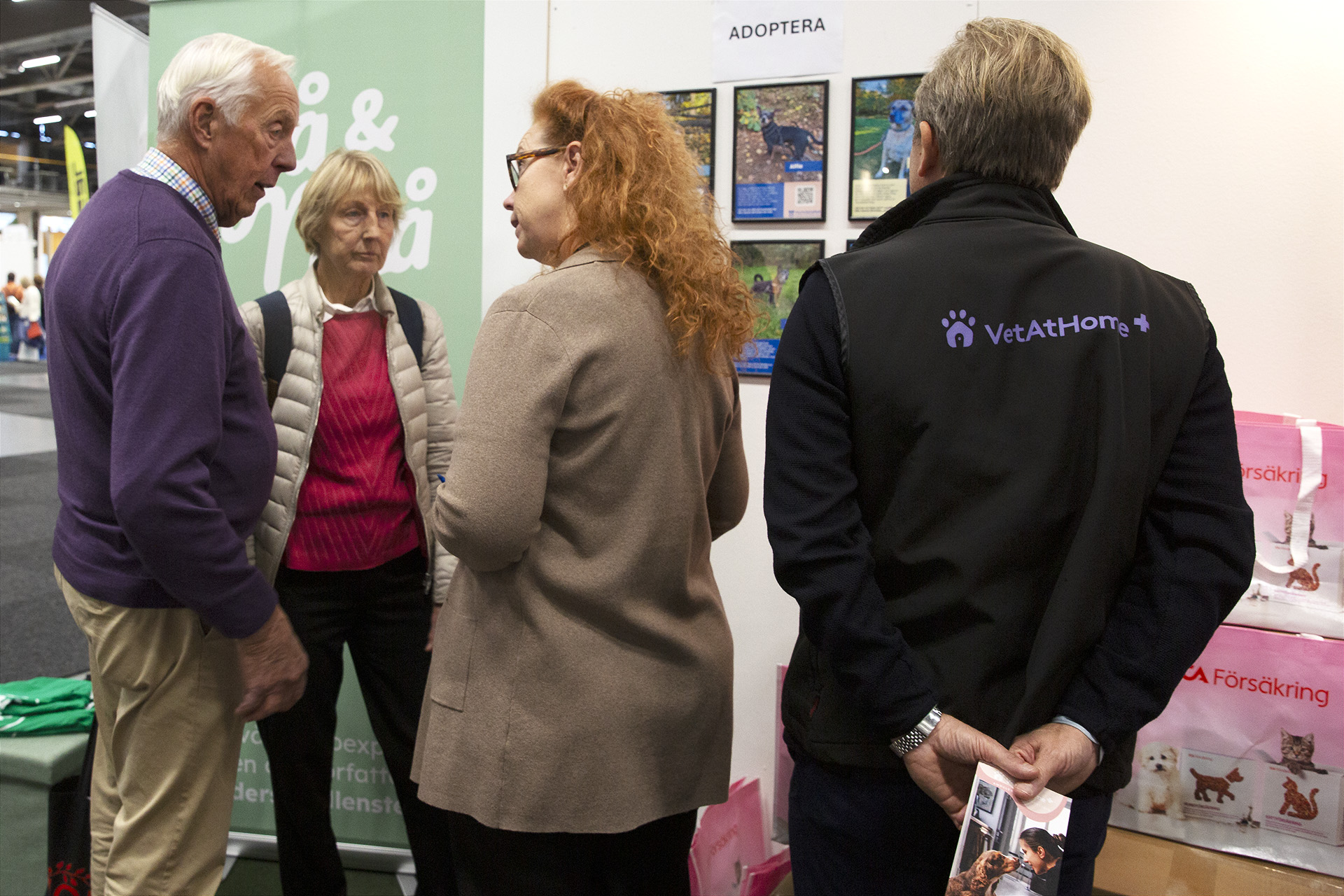 Hundstallet informerar om seniorhundar på Seniorfestivalen