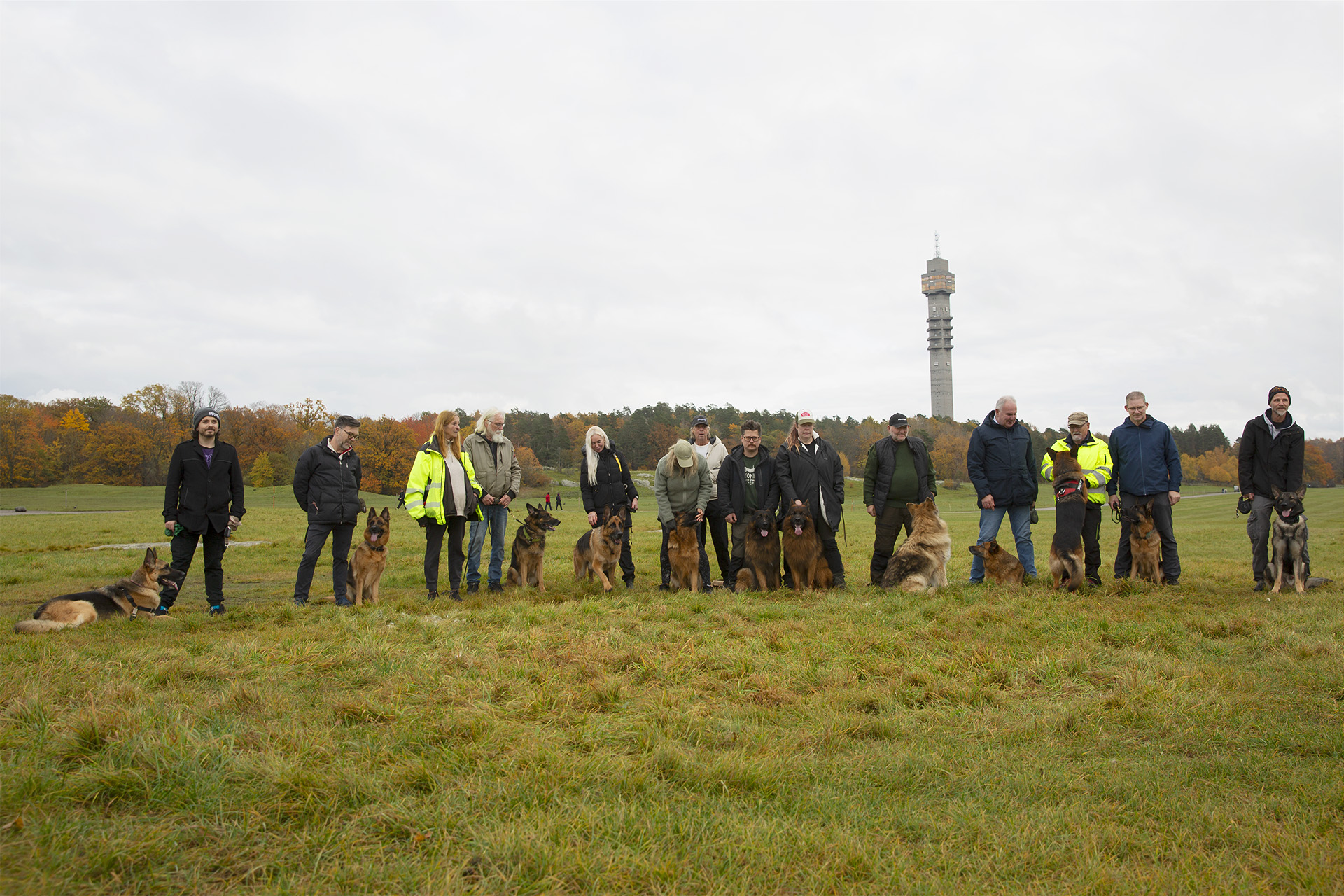 Stockholm Schäfergrupp på Schäferhyllan på Gärdet