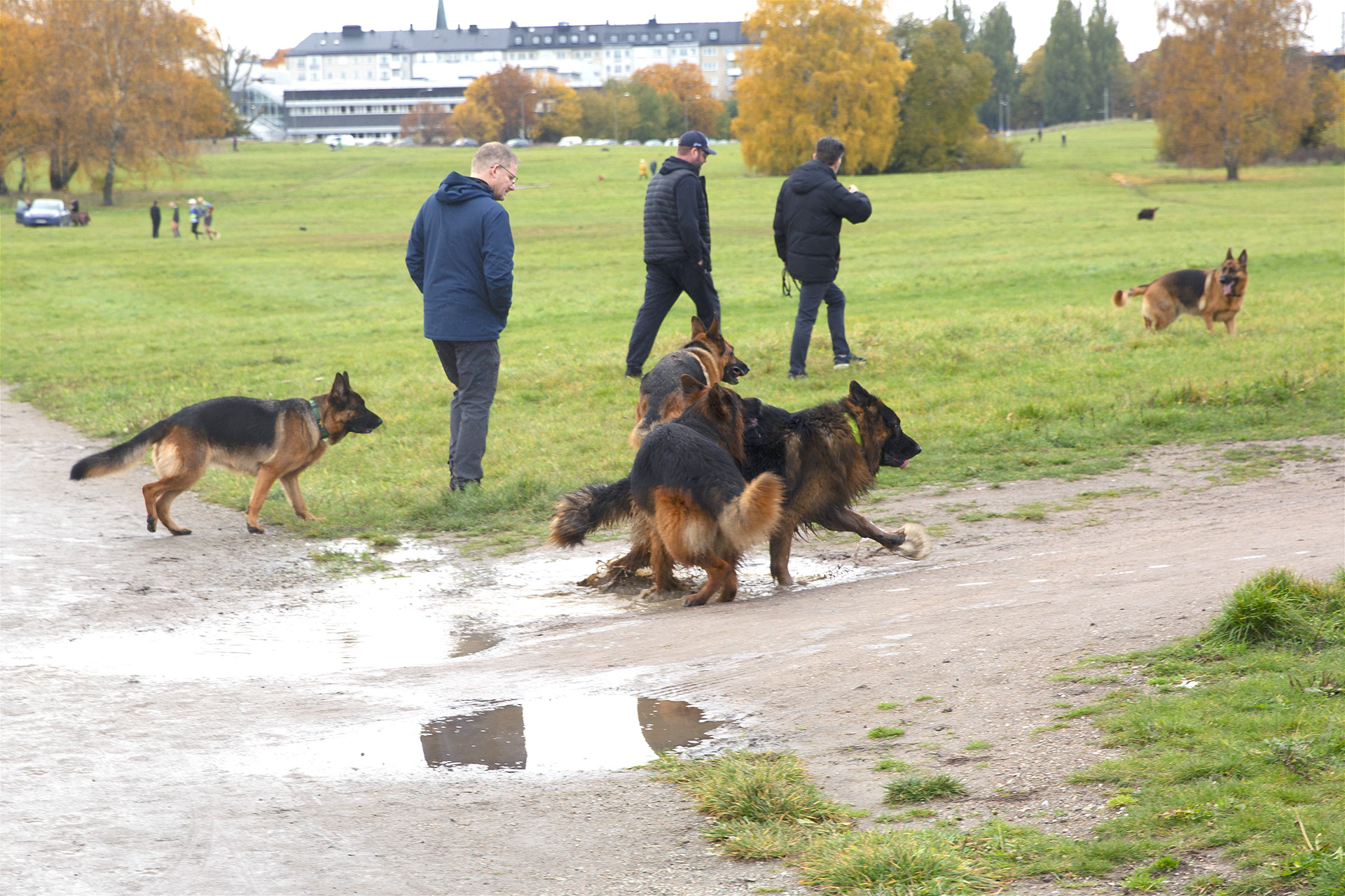 Schäferpromenad med spontana SPA-möjligheter.