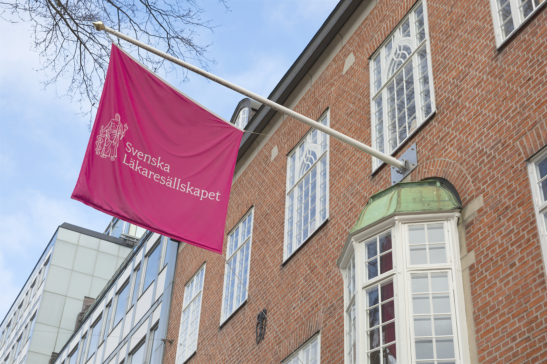 Svenska Läkarsällskapets fasadflagga.