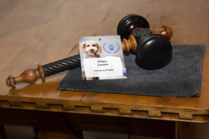 Sjukhushund pressbatch Patric Lindén vid domarklubba för foto vid 2:a Nordiska konferensen om Hundar i människans tjänst – Sjukhushund