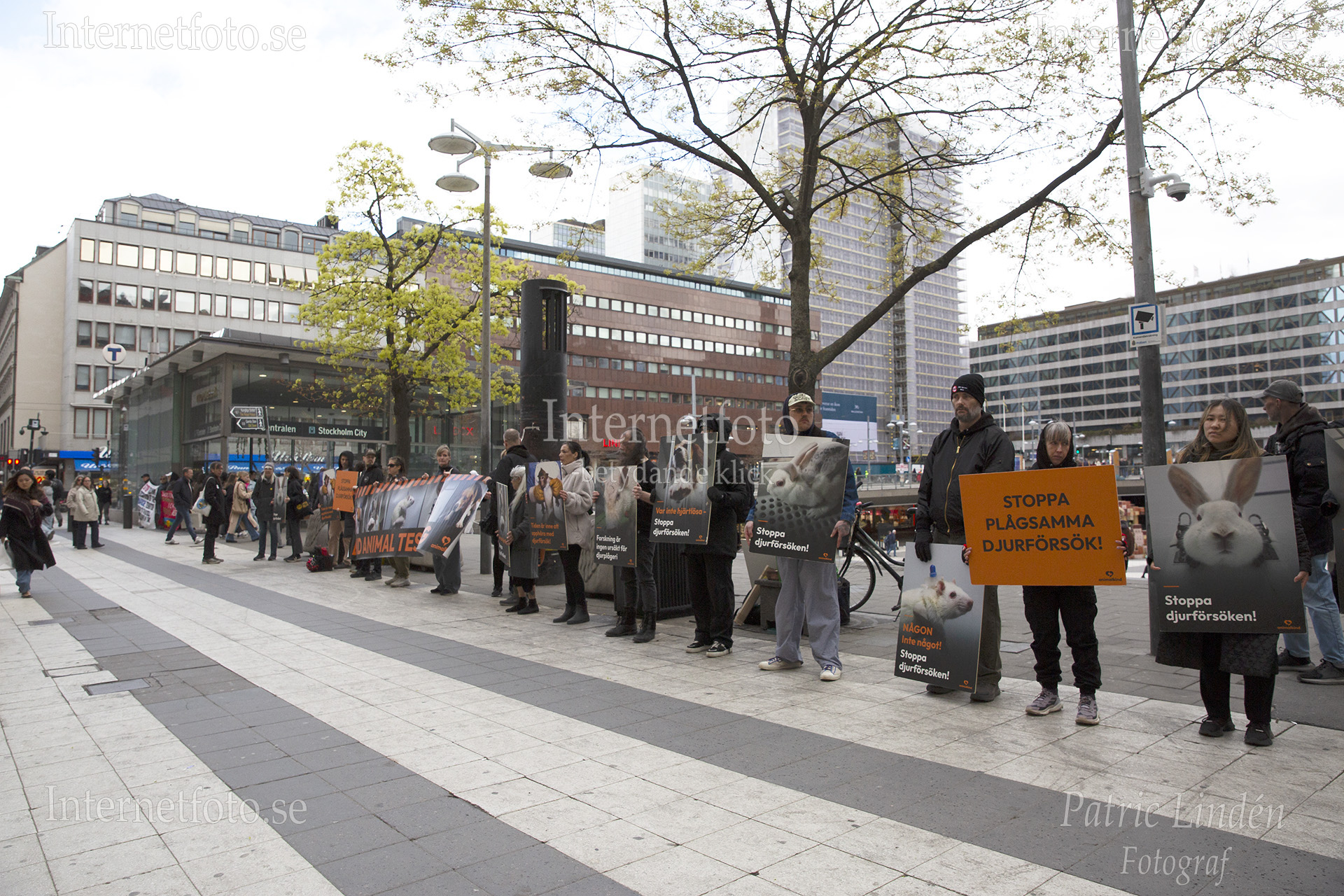 Tyst manifestation Stoppa plågsamma djurförsök som hölls på Drottninggatan/Sergels torg på Försöksdjurens dag 2026 