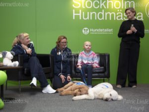 Två sjukhushundar är med tillsammans med en mamma och hennes svårt sjuk dotter på scen för panelsamtal på Hundmässan i Älvsjö. Bilden visar ljus och brun medicinska hundar tillsammans med barnläkare, sjuksköterska, mamman och hennes svårt sjuka barn. Sjukhushundarna bär sele och koppel. På scenen finns även mjukisdjur, bord, fåtöljer och skyltar med text.