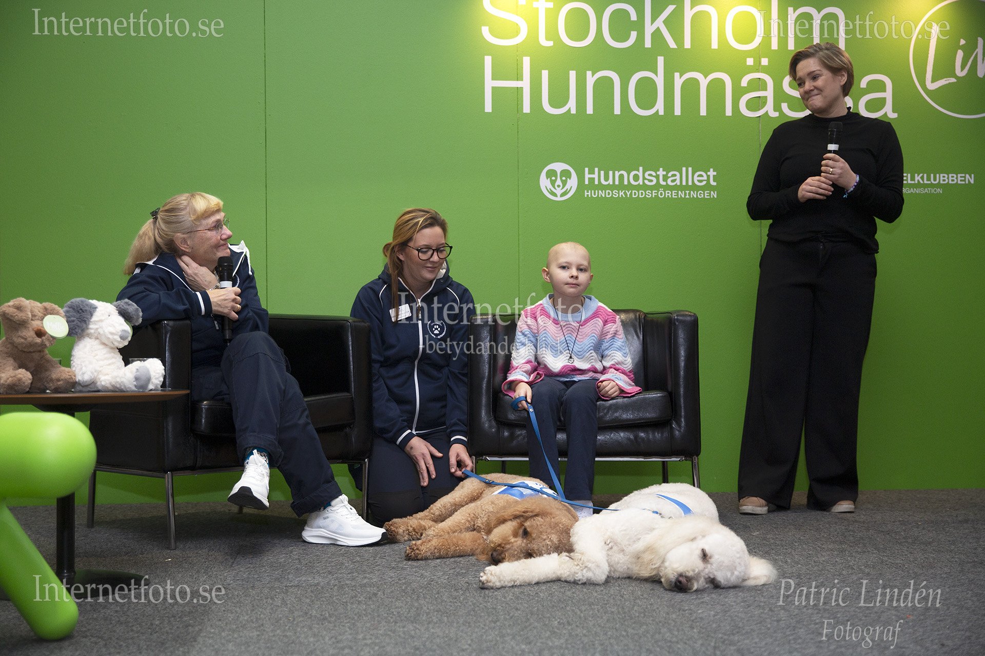 Två sjukhushundar är med tillsammans med en mamma och hennes svårt sjuk dotter på scen för panelsamtal på Hundmässan i Älvsjö. Bilden visar ljus och brun medicinska hundar tillsammans med barnläkare, sjuksköterska, mamman och hennes svårt sjuka barn. Sjukhushundarna bär sele och koppel. På scenen finns även mjukisdjur, bord, fåtöljer och skyltar med text.