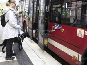Ledarhund svart labrador väntar tillsammans med synskadad kvinna med vit käpp vid en buss med öppna dörrar i Hammarby Sjöstad,