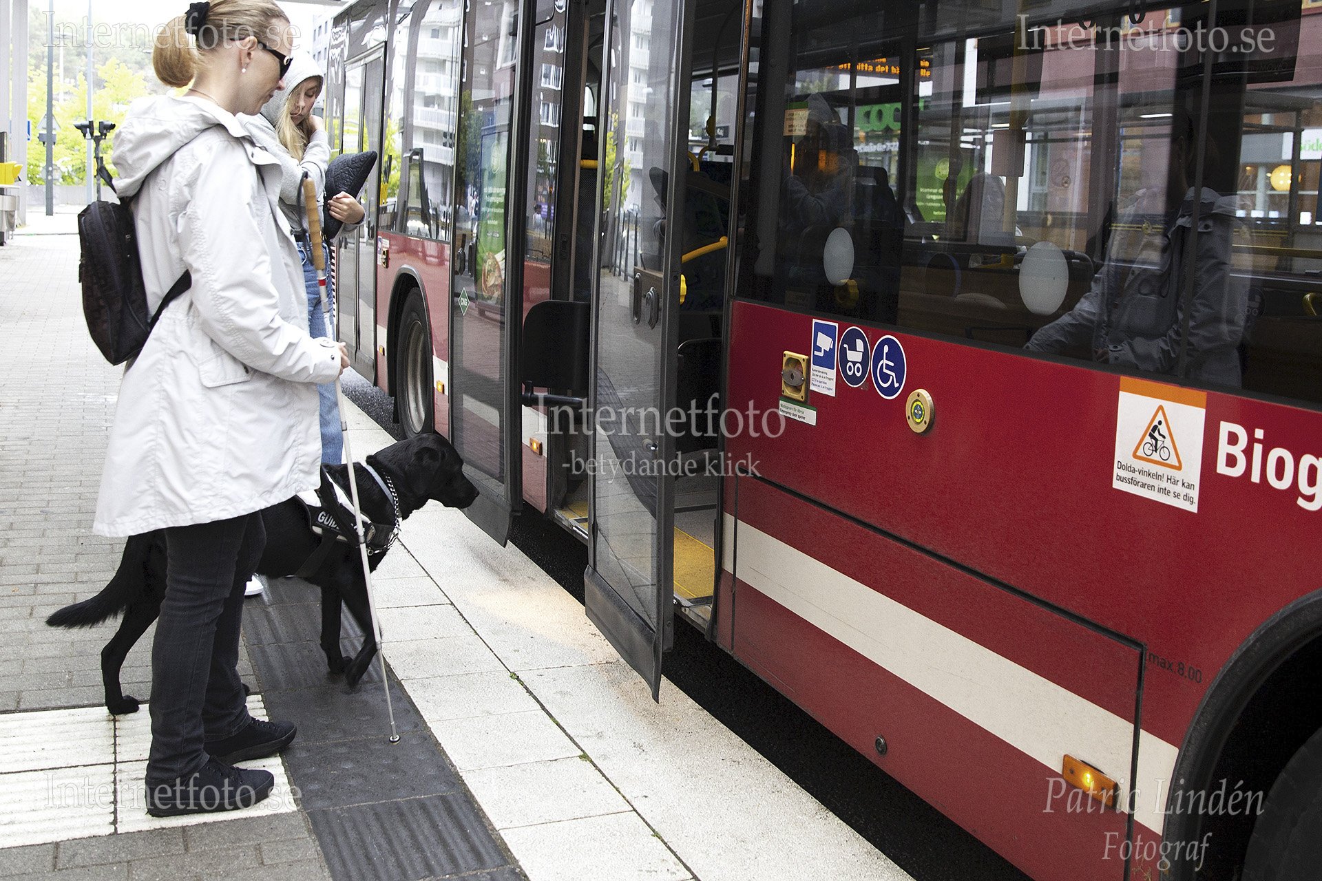 Ledarhund svart labrador väntar tillsammans med synskadad kvinna med vit käpp vid en buss med öppna dörrar i Hammarby Sjöstad,
