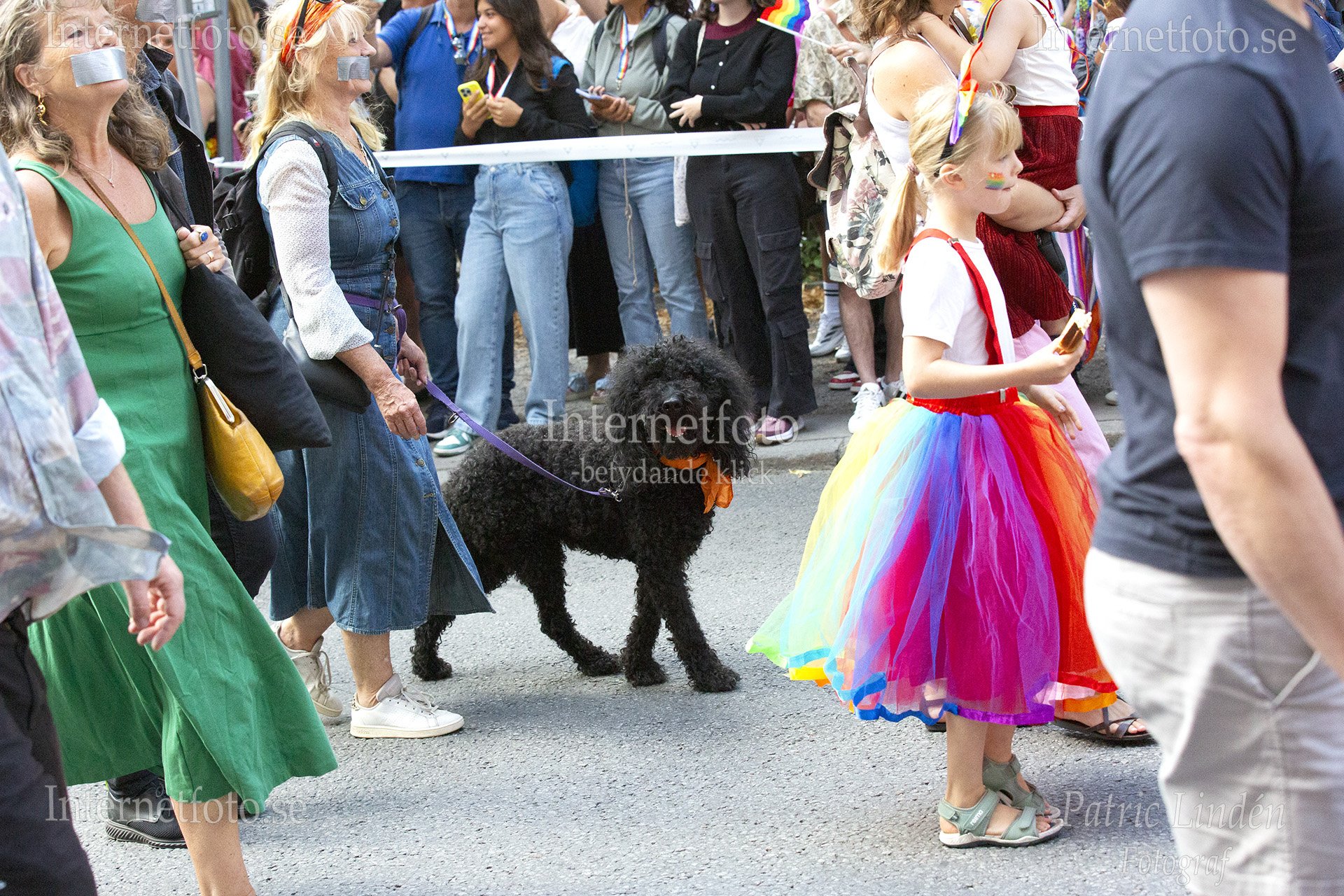Svart hund med orange halsduk går med mersoner med tejpade munnar i Prideparad. Internetfoto Bildbyrå