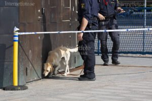 Vid Bilderbergmötet på Grand Hôtel i Stockholm söker en bombhund av området. Två poliser syns i mörka uniformer, medan hunden arbetar kopplad och området är avspärrat med polisband.
