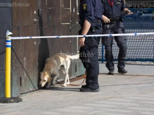 Vid Bilderbergmötet på Grand Hôtel i Stockholm söker en bombhund av området. Två poliser syns i mörka uniformer, medan hunden arbetar kopplad och området är avspärrat med polisband.