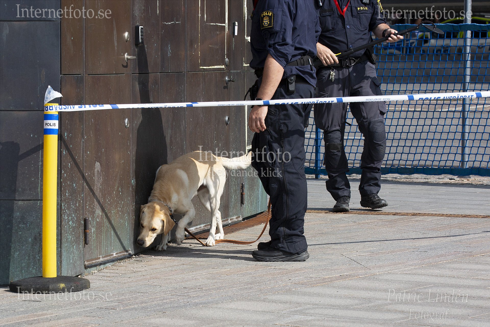 Vid Bilderbergmötet på Grand Hôtel i Stockholm söker en bombhund av området. Två poliser syns i mörka uniformer, medan hunden arbetar kopplad och området är avspärrat med polisband.